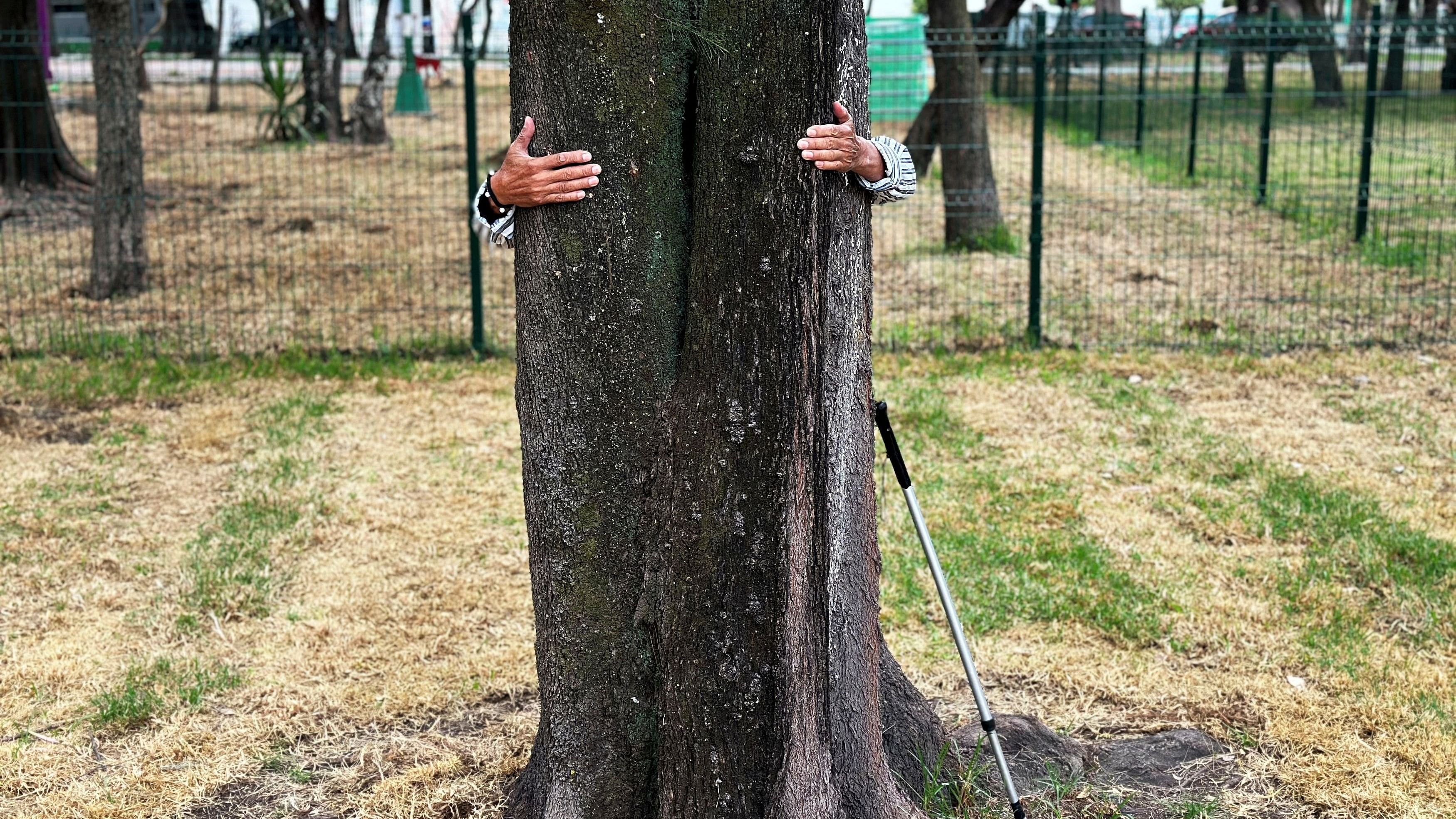<div class="paragraphs"><p>File photo showing a man hugging a tree.</p></div>