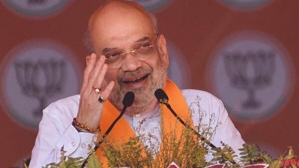 <div class="paragraphs"><p>Union Home Minister Amit Shah</p></div>