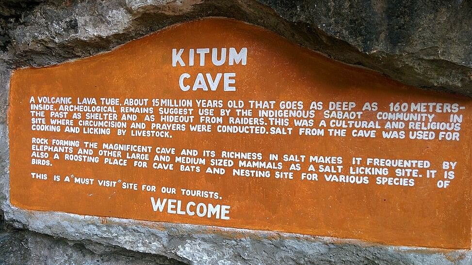 <div class="paragraphs"><p>A photo showing an information board outside the Kitum Cave in Kenya.</p></div>