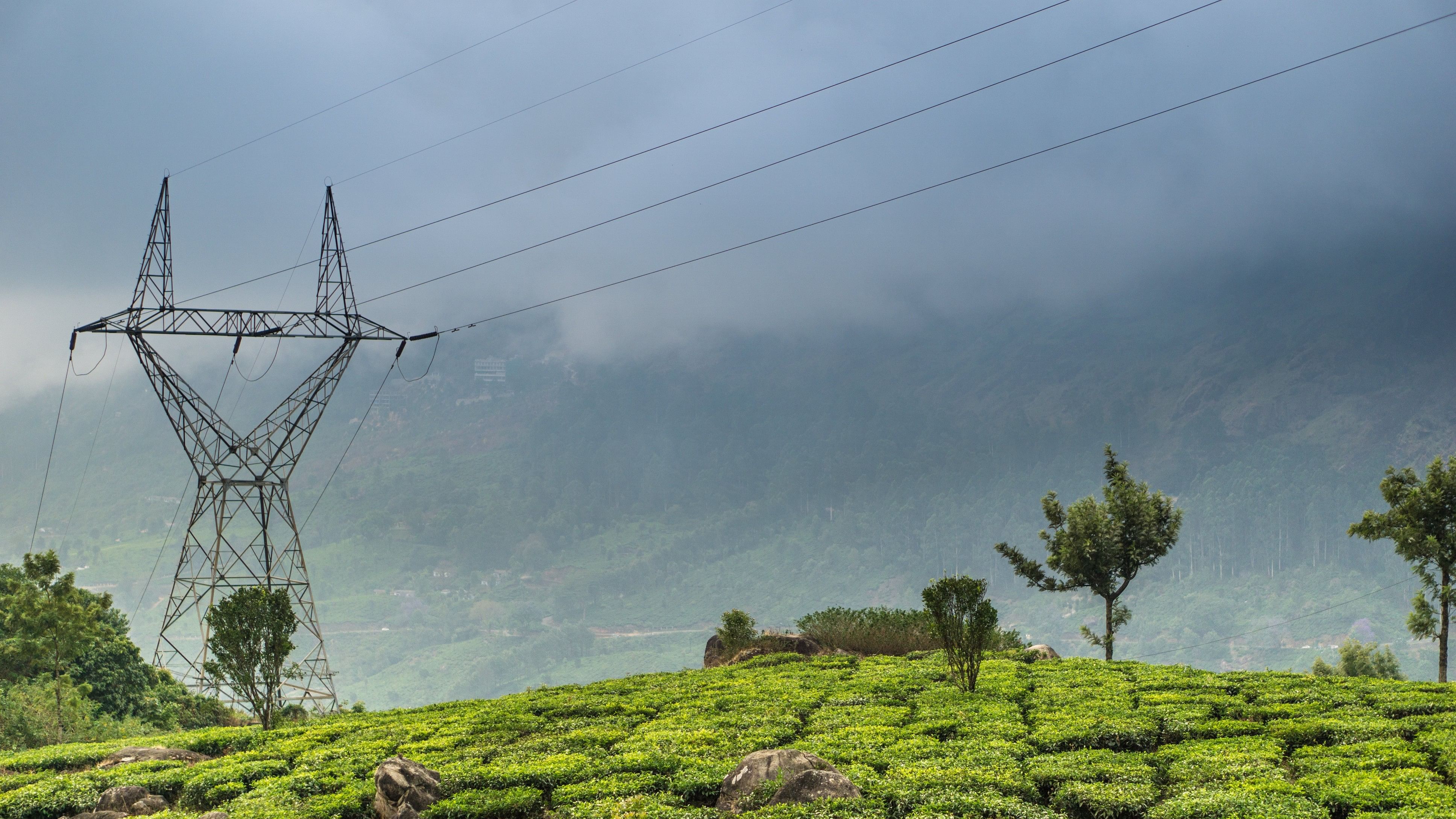 <div class="paragraphs"><p>In India, one of Munnar’s tea plantations. A transmission tower, also called electric pylon, and the Western Ghats mountains are visible in the image. </p></div>