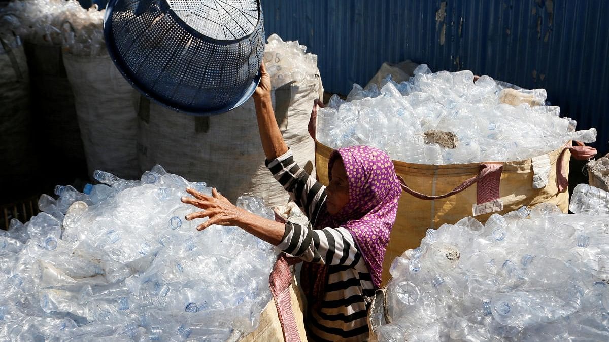 <div class="paragraphs"><p>File photo showing a woman dumping plastic bottles for recycling at a facility.</p></div>
