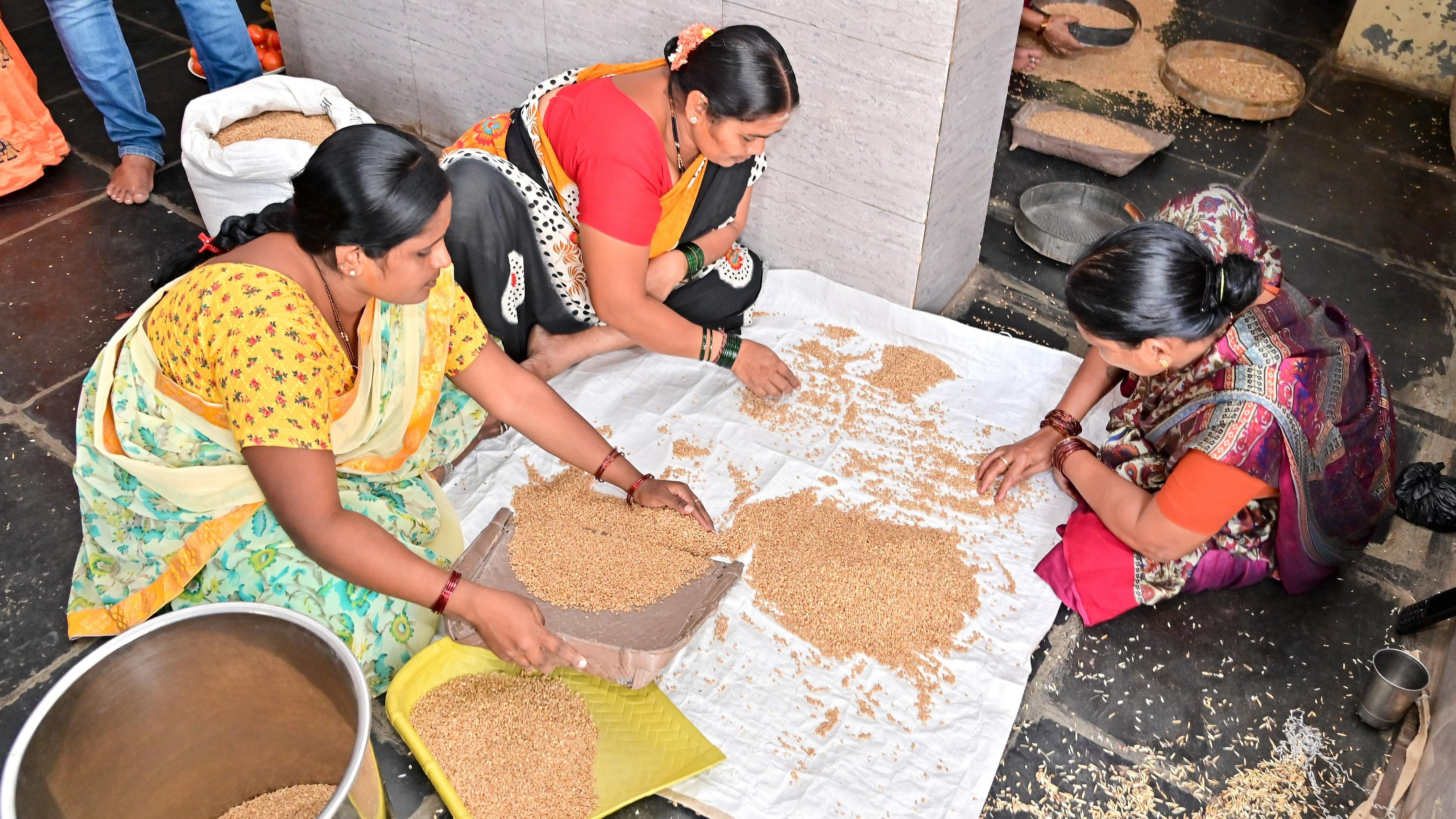 <div class="paragraphs"><p>Mid-day meal workers clean the substandard foodgrains at a school in Davangere district. dh file photo</p></div>