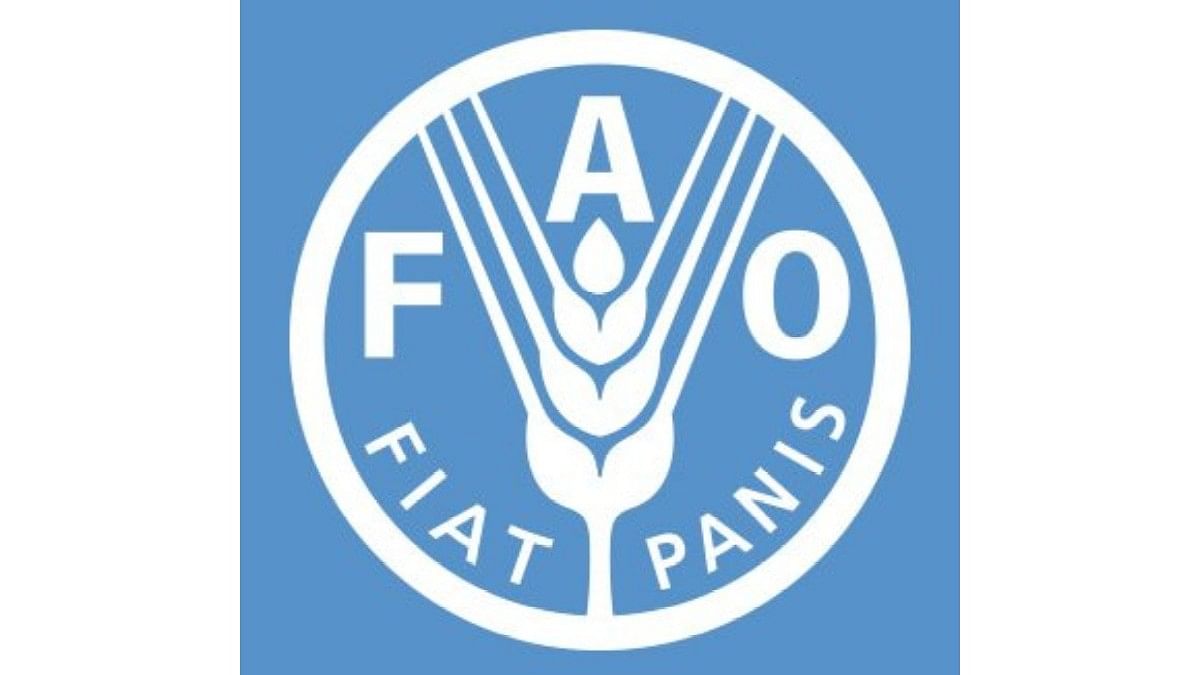 <div class="paragraphs"><p>Logo of UN's&nbsp;Food and Agriculture Organization.</p></div>