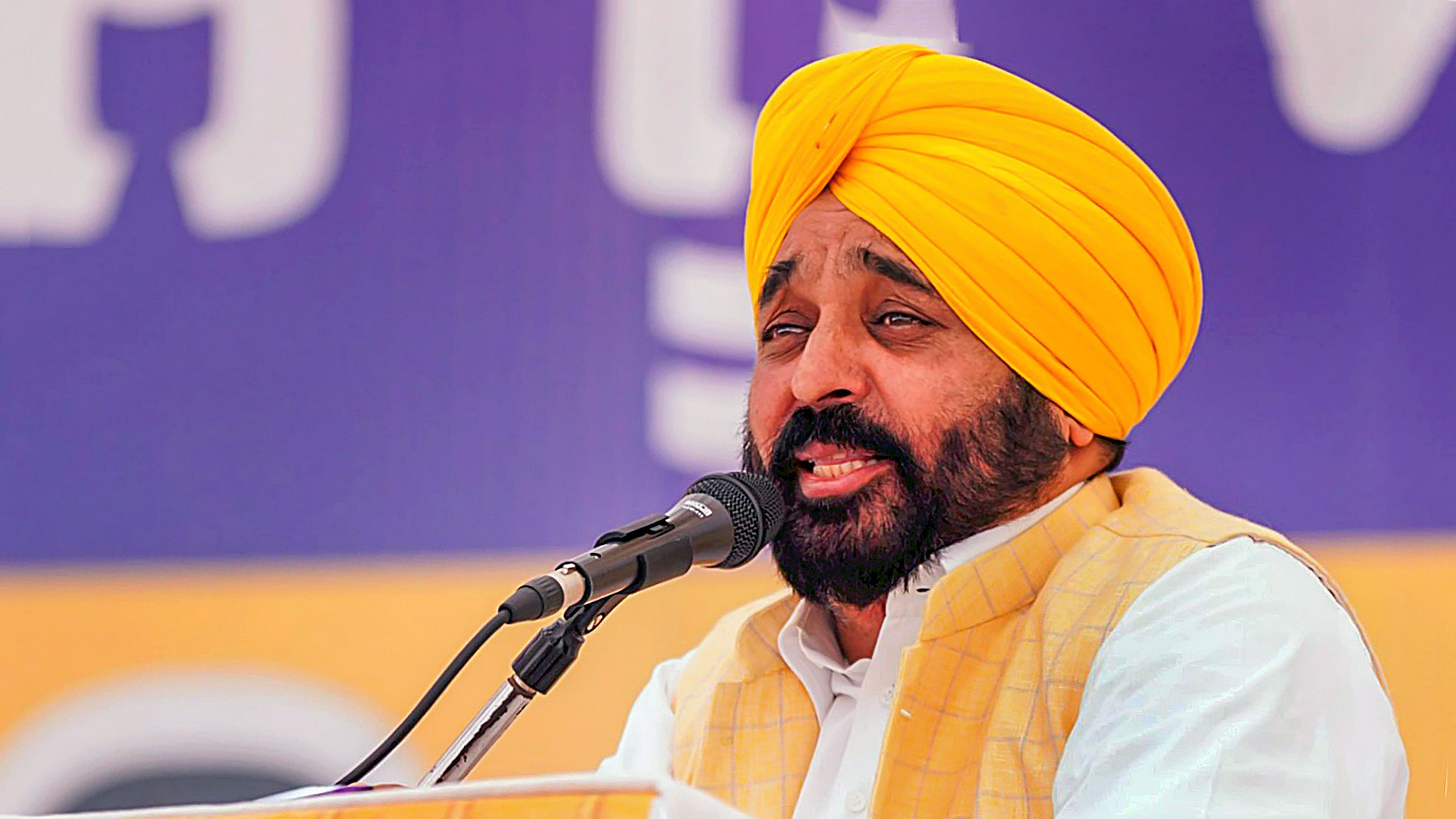 <div class="paragraphs"><p>Punjab Chief Minister and AAP leader Bhagwant Mann.</p></div>