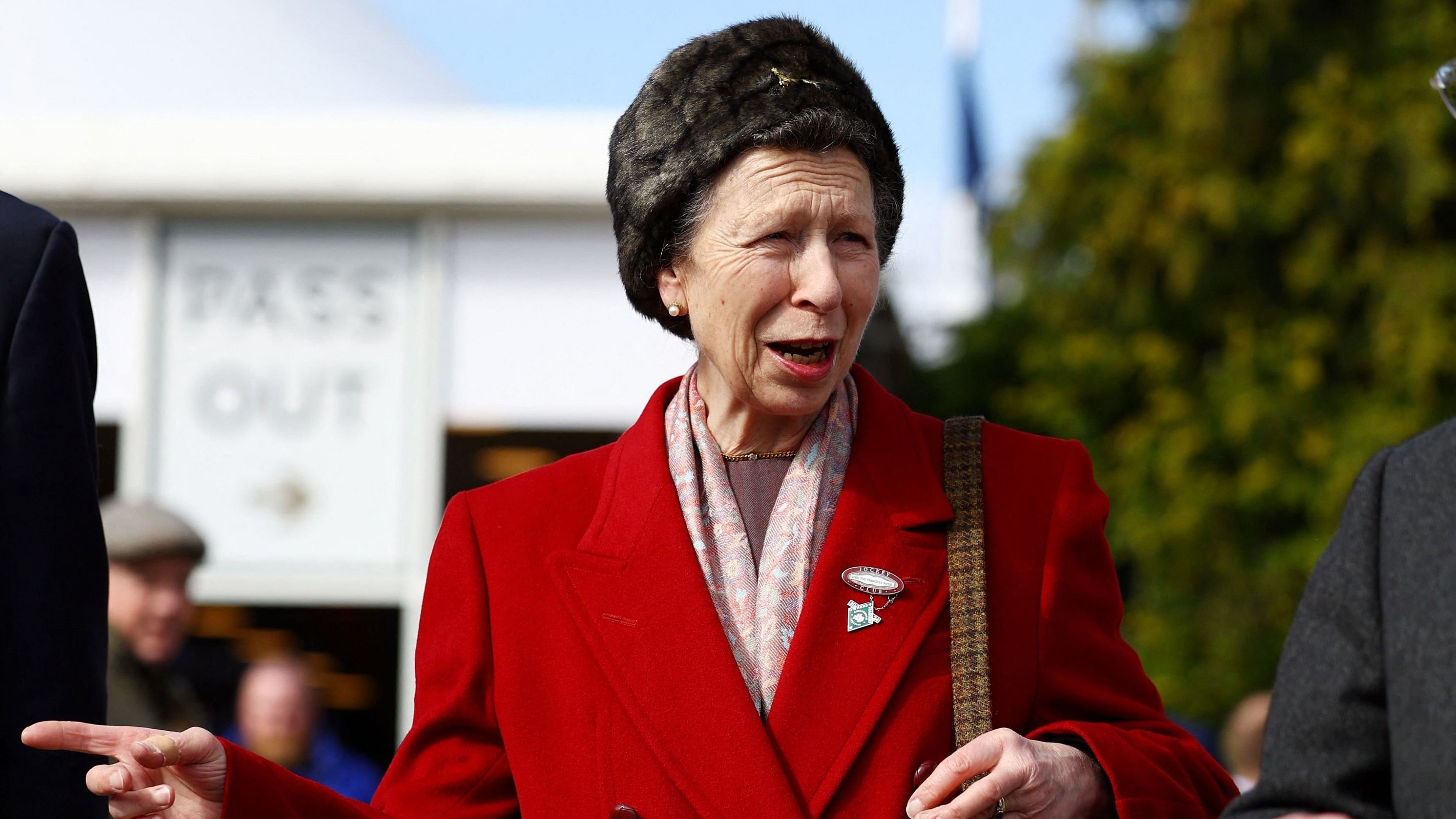 <div class="paragraphs"><p> Britain's Princess Anne is seen before the horse race at the&nbsp;Cheltenham Festival earlier this year.</p></div>