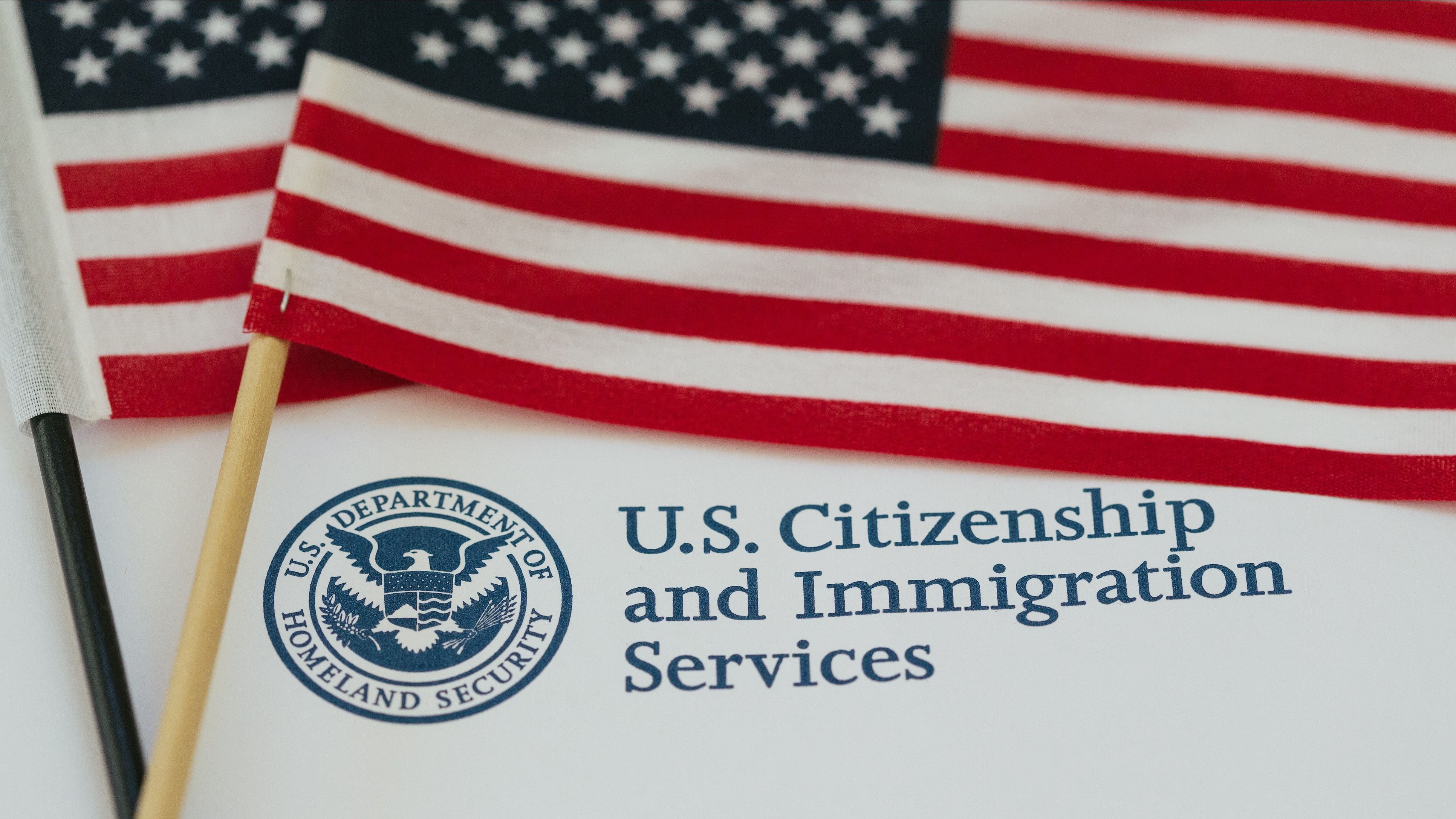 <div class="paragraphs"><p>In its latest 'US Naturalisation Policy' report of April 15, the independent Congressional Research Service in the fiscal year 2022, 969,380 individuals became naturalised US citizens.</p></div>