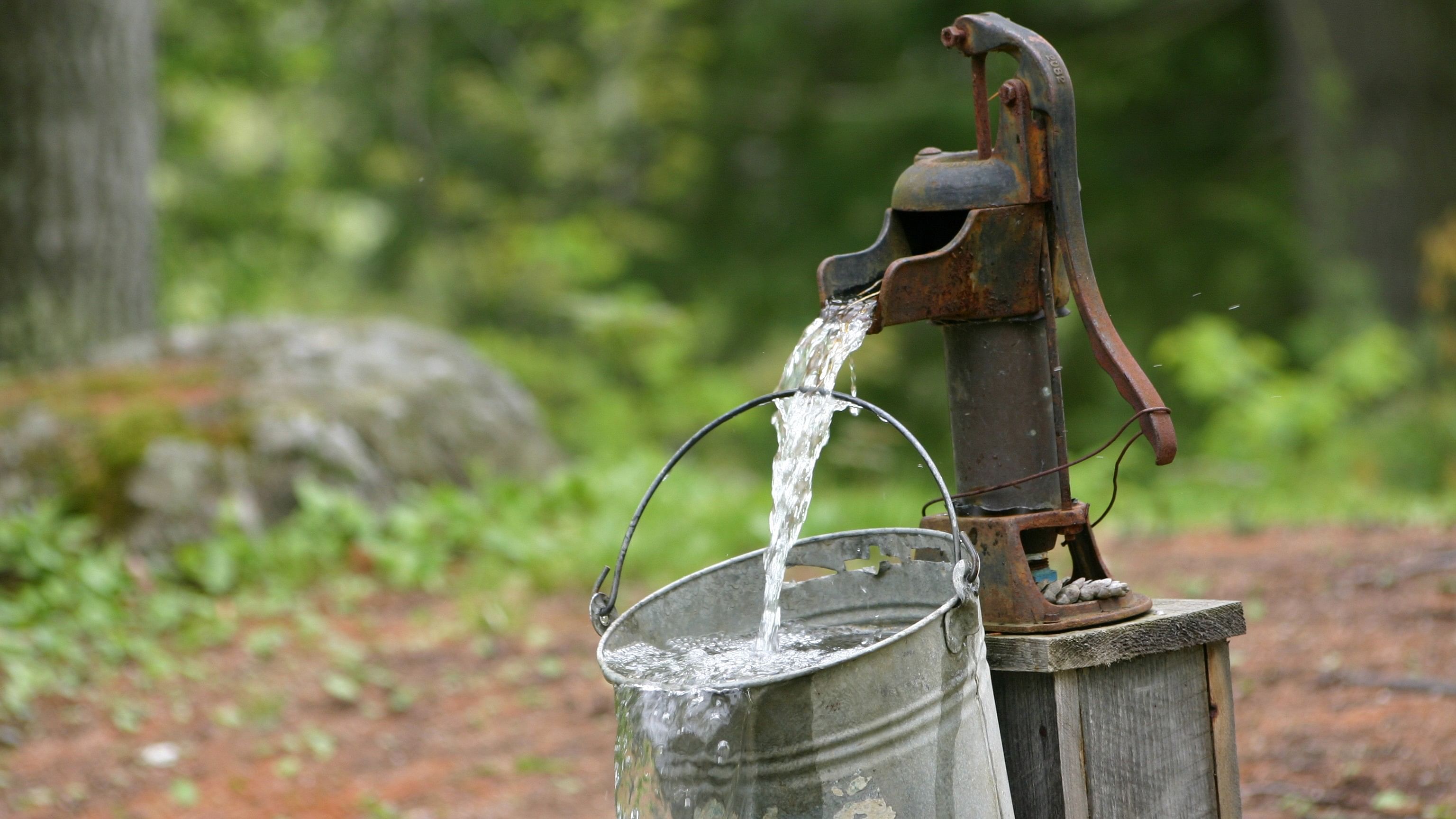 <div class="paragraphs"><p>Representative image for a bucket of water.</p></div>