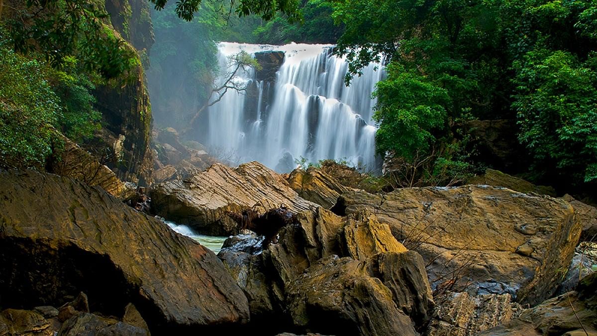 <div class="paragraphs"><p>Sathoddi falls in Karnataka. Image for representation.&nbsp;</p></div>