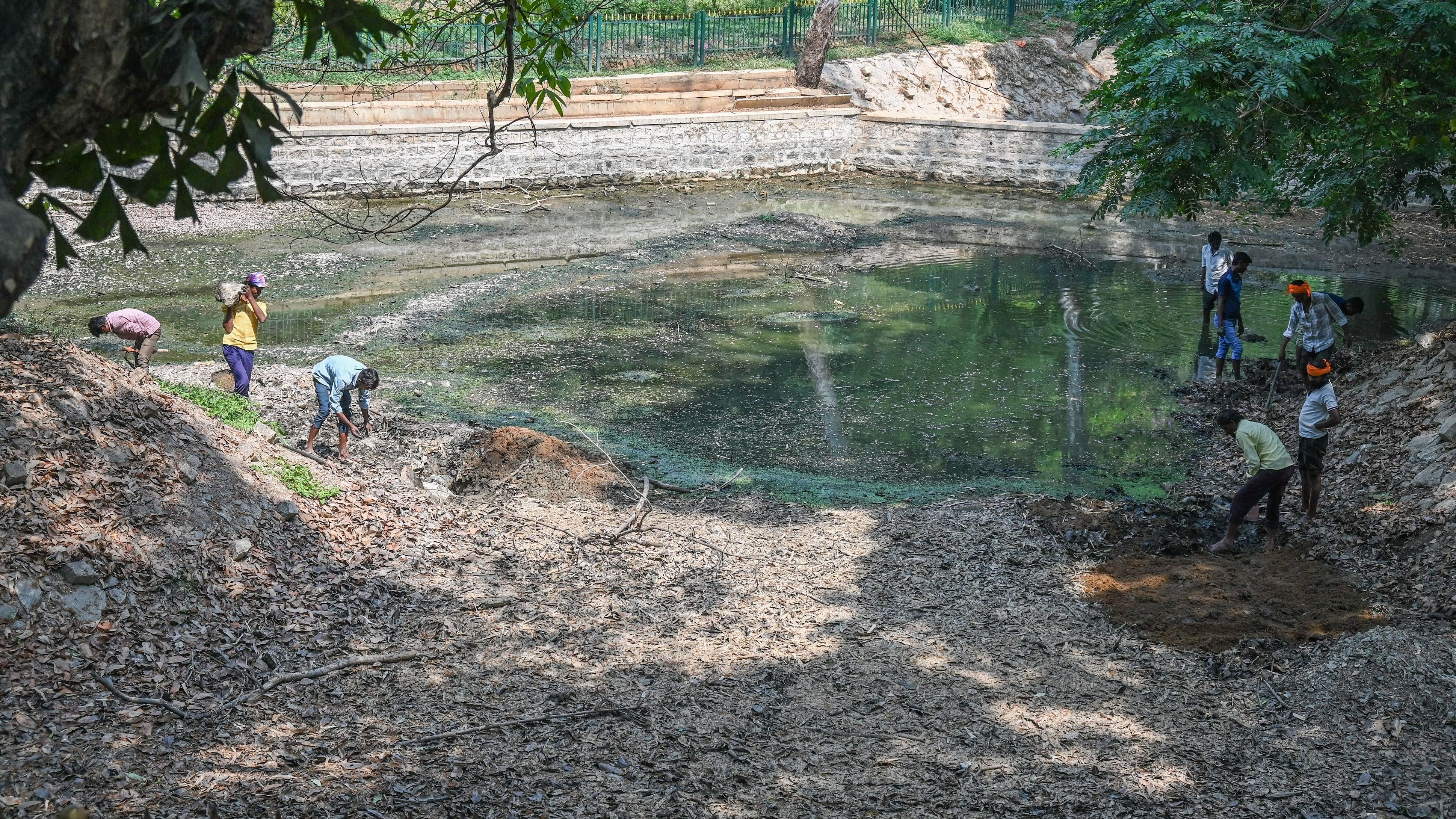<div class="paragraphs"><p>In March, workers cleaned the dry lake at Cubbon Park to prepare for monsoon rainwater collection.&nbsp;</p></div>