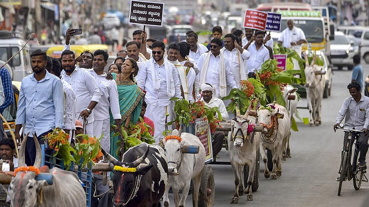 <div class="paragraphs"><p>Officers and workers take part in a bullock cart rally organised by the district administration to create awareness about voting ahead of Lok Sabha elections in Karnataka.&nbsp;</p></div>