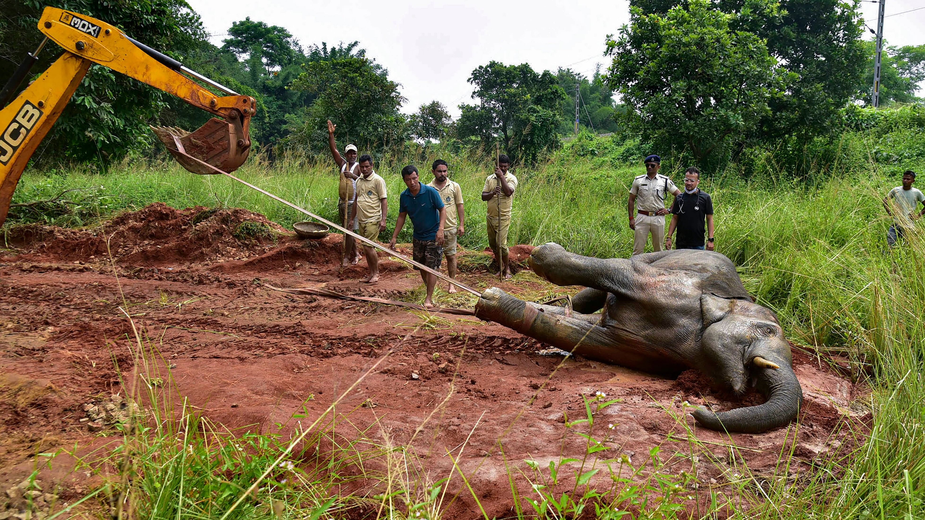 <div class="paragraphs"><p>Heavy machinery being used to rescue an injured elephant. (Representative image)&nbsp;</p></div>