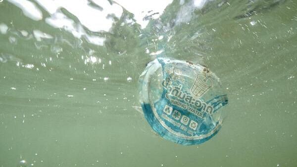 <div class="paragraphs"><p>Plastic garbage floats in the sea in Phuket.</p></div>