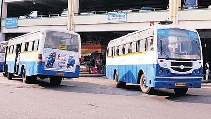 <div class="paragraphs"><p>BMTC buses. </p></div>