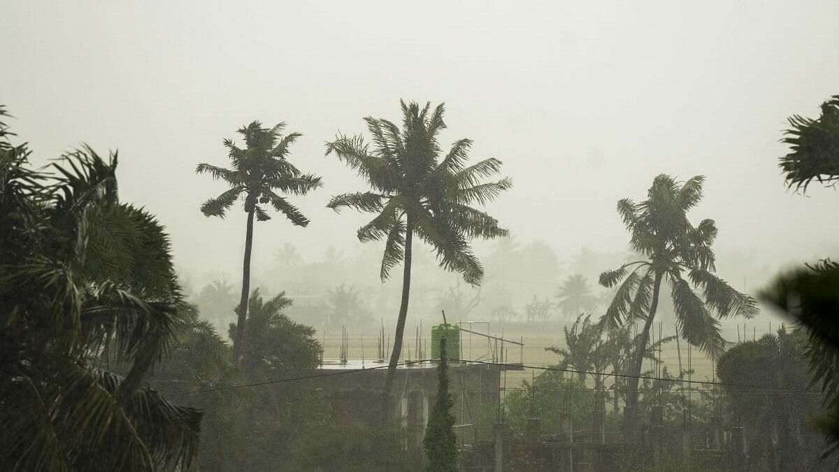 <div class="paragraphs"><p>Rain ahead of the landfall of Cyclone 'Remal', in South 24 Parganas district, Sunday, May 26, 2024.</p></div>