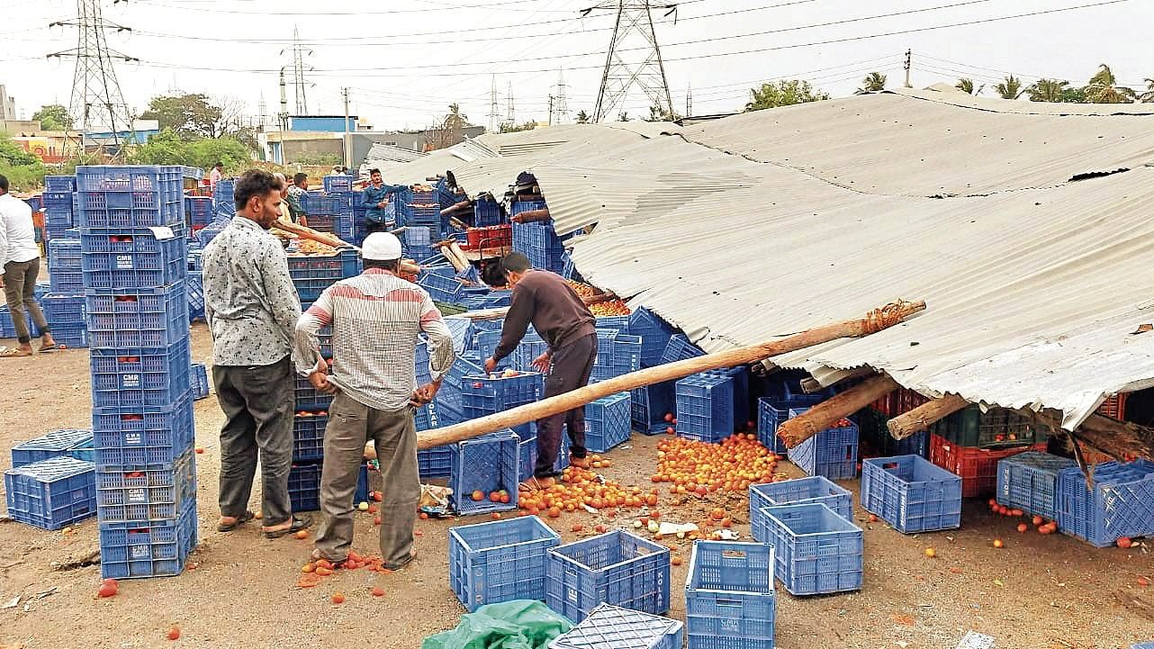 <div class="paragraphs"><p>A view of the APMC market in Kolar.</p></div>