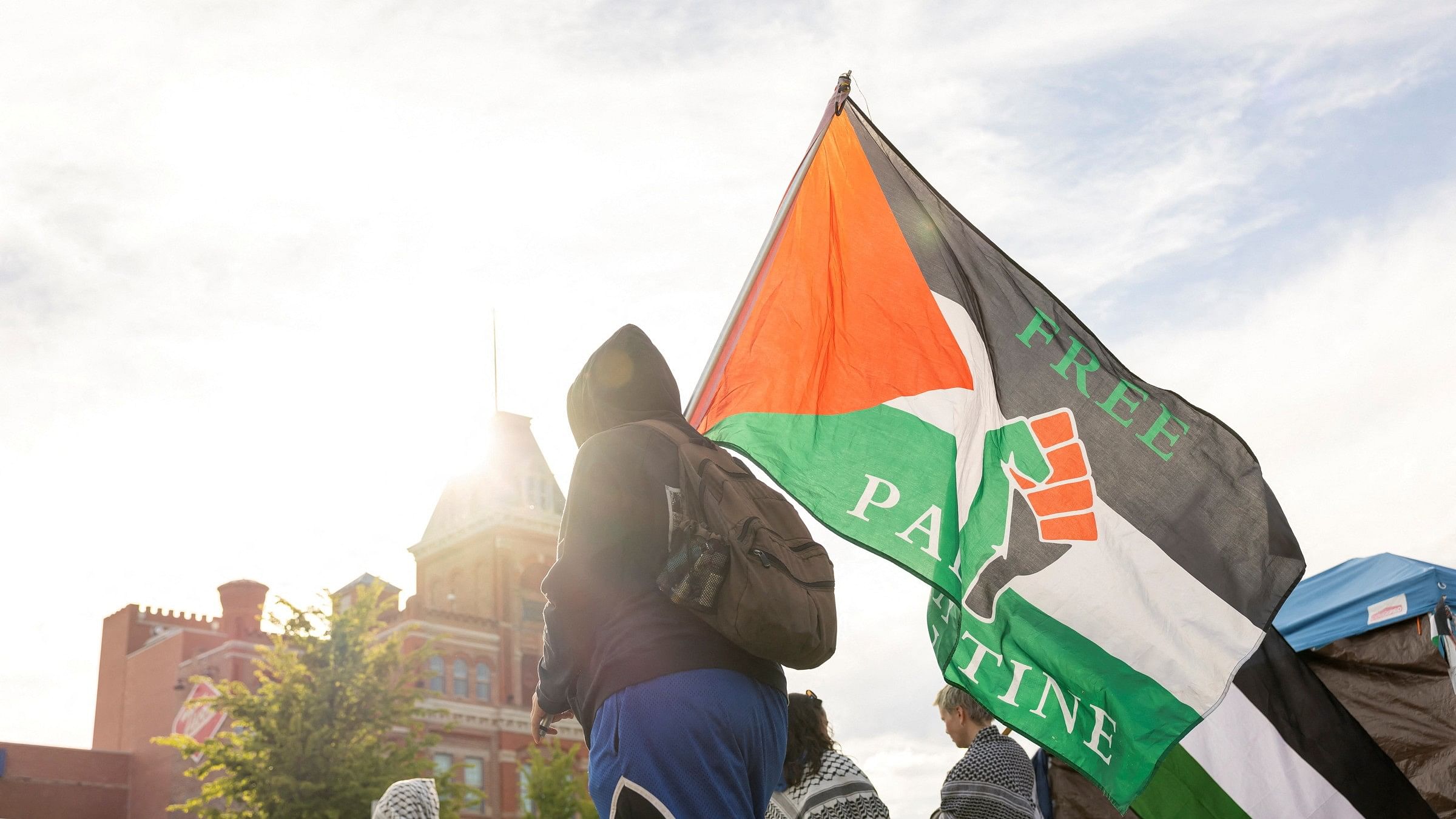 <div class="paragraphs"><p>A person is seen carrying a 'Free Palestine' flag. Representative image.</p></div>