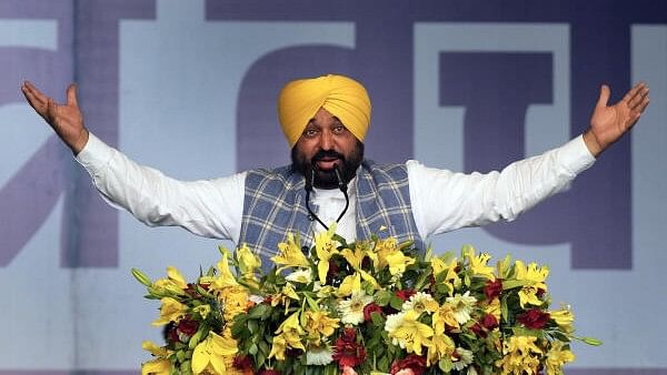 <div class="paragraphs"><p>Punjab CM and AAP leader Bhagwant Mann.</p></div>