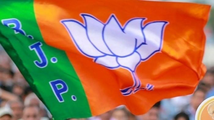 <div class="paragraphs"><p>'We are pained,' discontentment over candidates' list bug BJP </p></div>