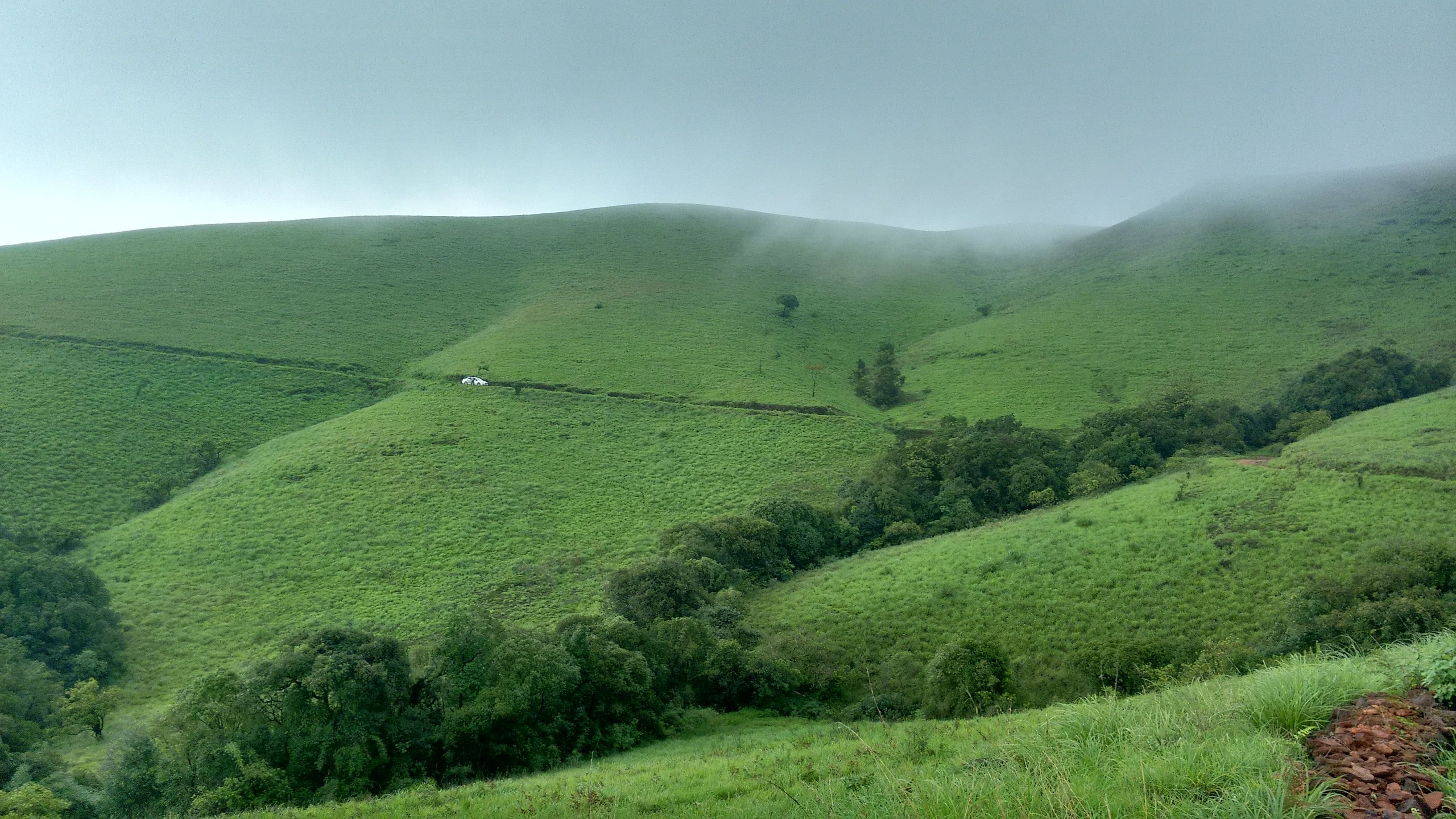 <div class="paragraphs"><p>Western Ghats.</p></div>