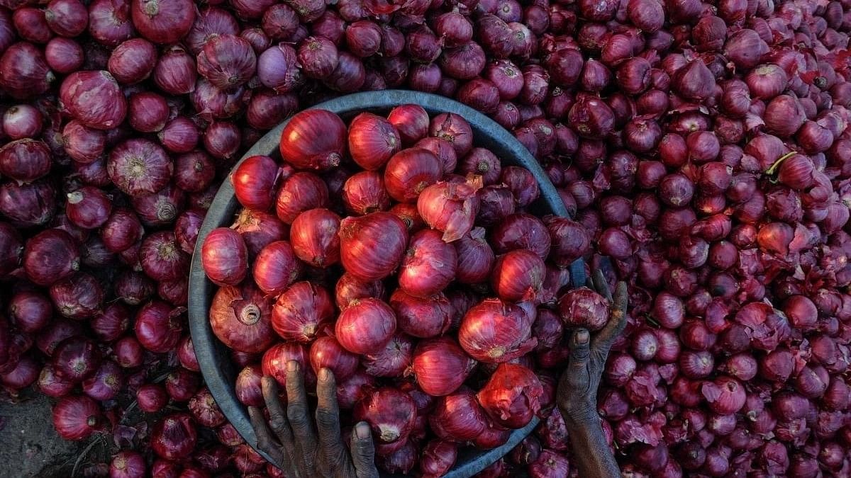 <div class="paragraphs"><p>The Indian government will sell onions from its reserves to cool high prices, a top official at the consumer affairs ministry told reporters on Monday.</p></div>