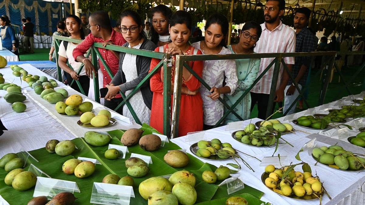 <div class="paragraphs"><p>Visitors at the Triphal Diversity Show, which began on Friday at IIHR, Hesaraghatta.&nbsp;</p></div>