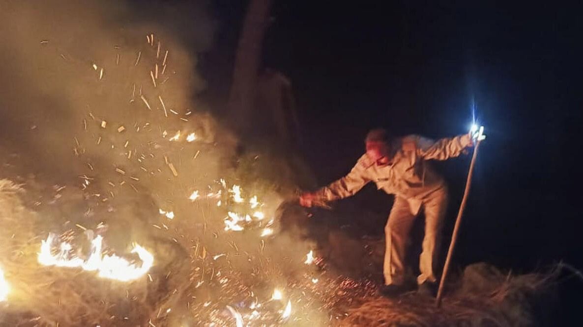 <div class="paragraphs"><p>A Jammu and Kashmir Forest Protection Force personnel tries to extinguish a fire that broke out in Bathuni forest area, in Rajouri district, Sunday night, May 26, 2024.</p></div>