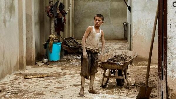 <div class="paragraphs"><p>A boy looks on while standing next to a wheelbarrow, in the aftermath of floods following heavy rain, in Sheikh Jalal District, Baghlan province in Afghanistan on May 11, 2024.</p></div>