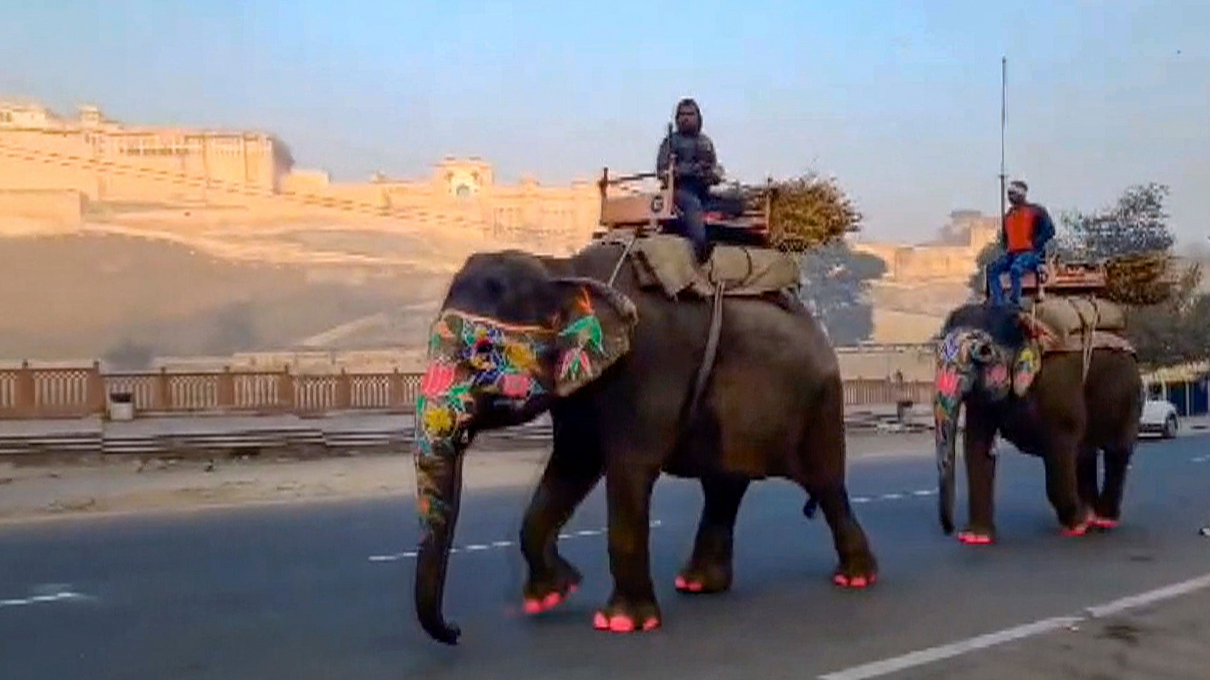 <div class="paragraphs"><p>A file photo of Mahouts riding their elephants on a road near Amber Fort.</p></div>