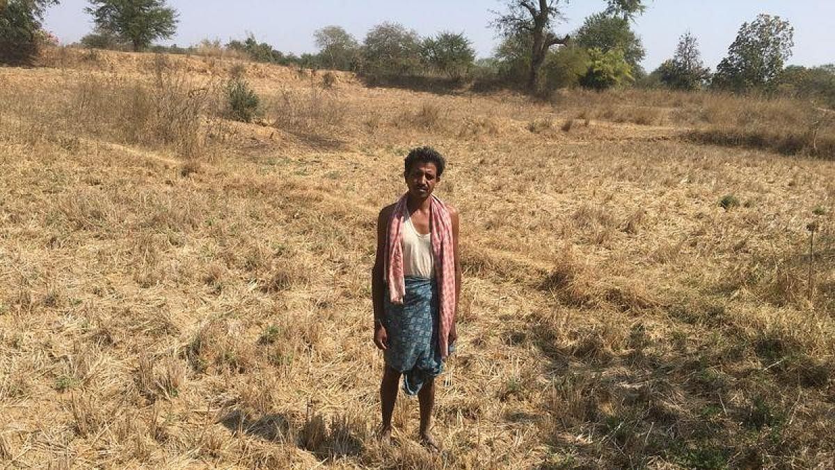 <div class="paragraphs"><p>A farmer on his farmland. Representative image.</p></div>