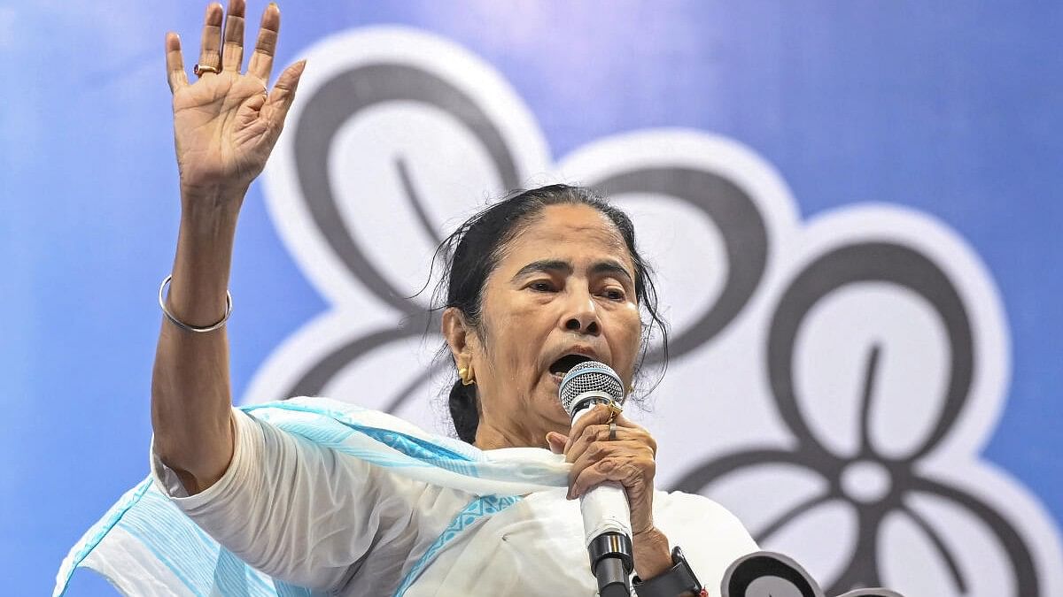 <div class="paragraphs"><p>West Bengal Chief Minister and TMC chief Mamata Banerjee.</p></div>