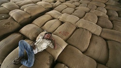 <div class="paragraphs"><p>Some WTO members, including the US and the UK, have raised questions on India's USD 48 billion farm input subsidies for 2022-23.</p></div>