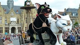 <div class="paragraphs"><p>Belgium cat parade.</p></div>