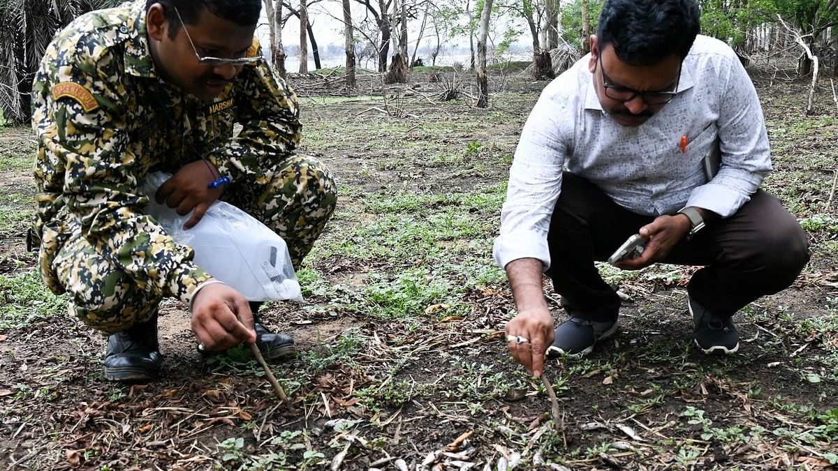 <div class="paragraphs"><p>Officials of the Karnataka State Pollution Control Board inspect dead fish at Hesaraghatta lake on the outskirts of Bengaluru. </p></div>