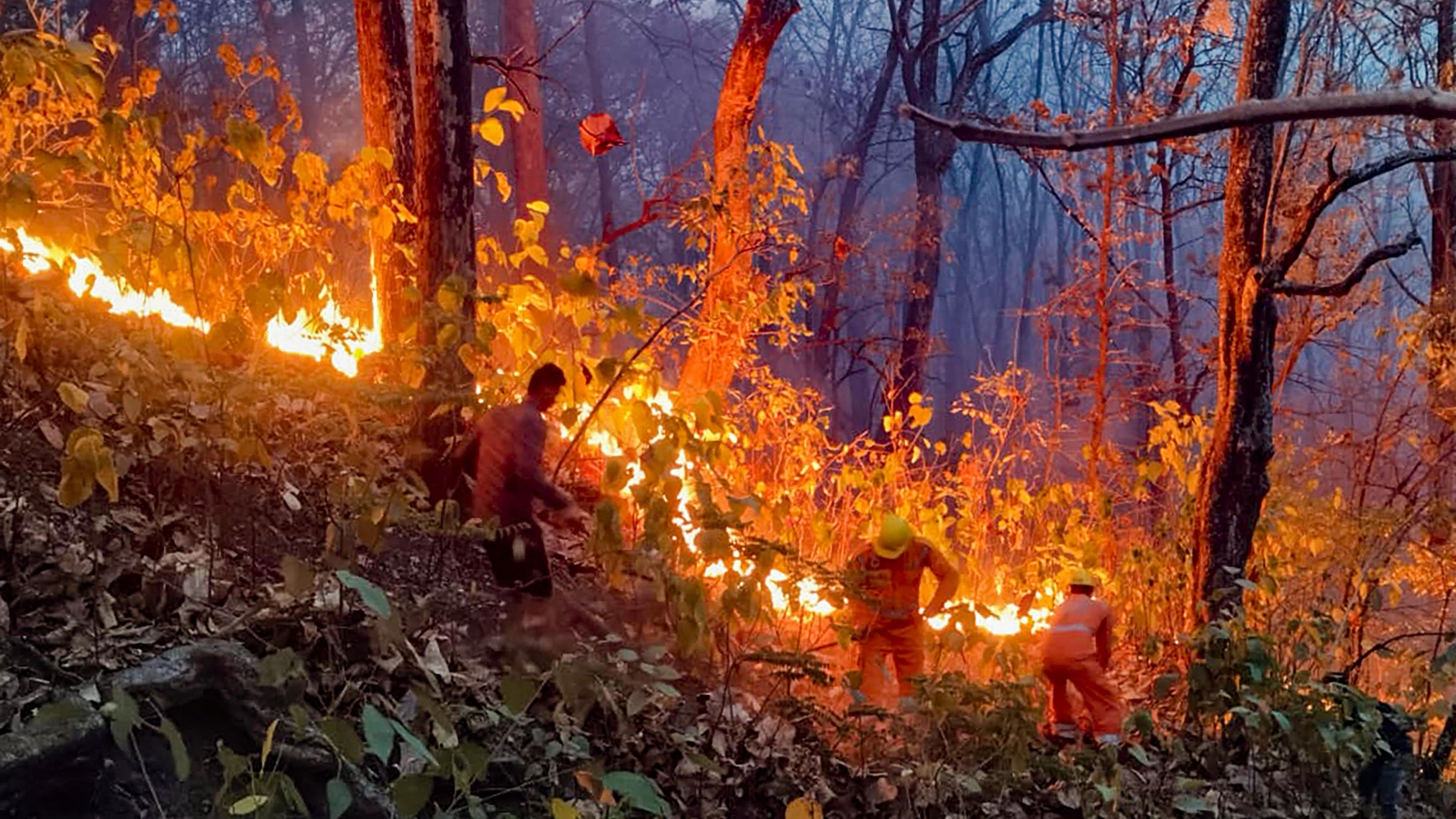 <div class="paragraphs"><p>Representative image of a forest fire.</p></div>