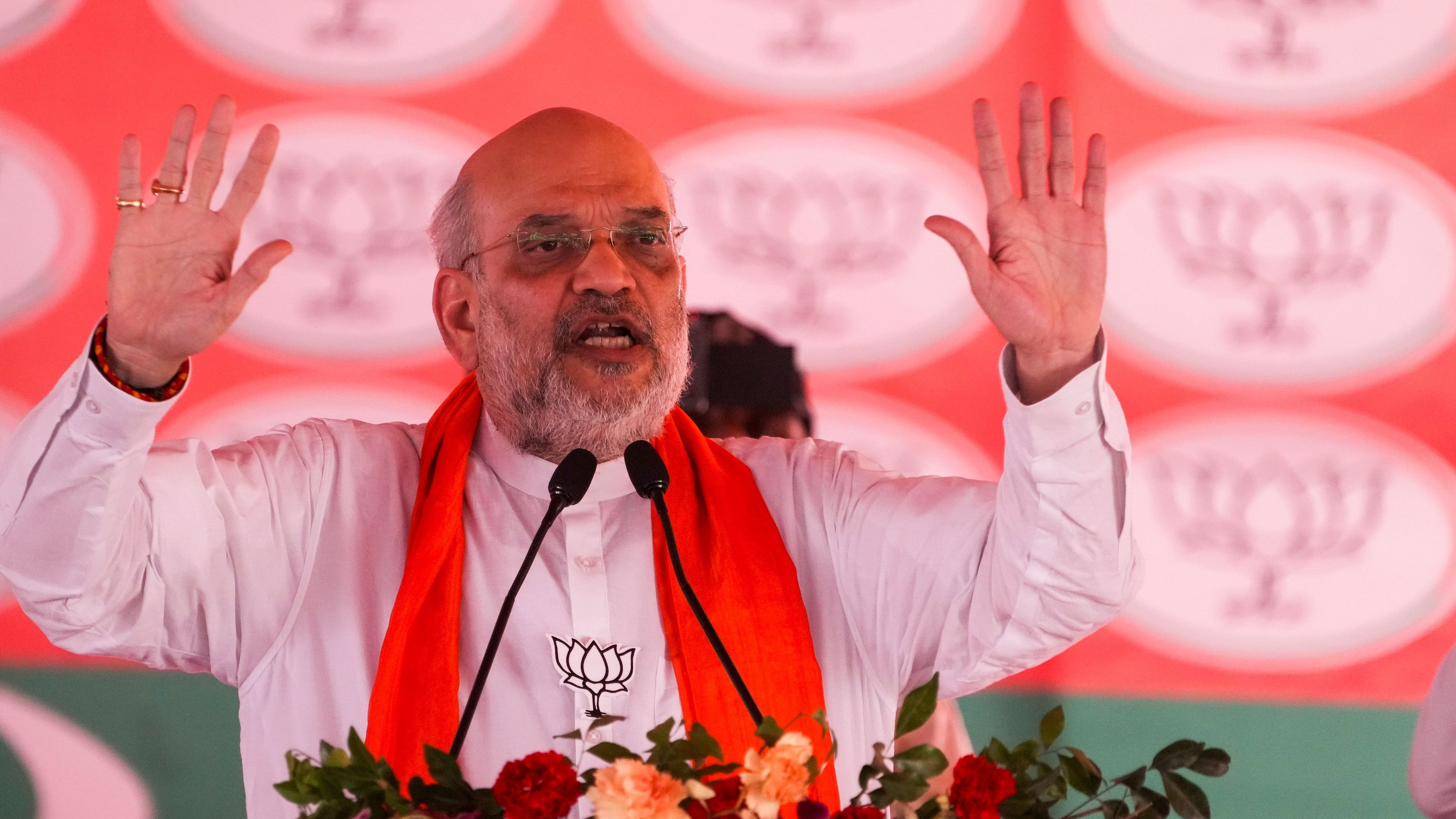 <div class="paragraphs"><p>Union Home Minister Amit Shah addresses a public meeting for Lok Sabha elections.</p></div>