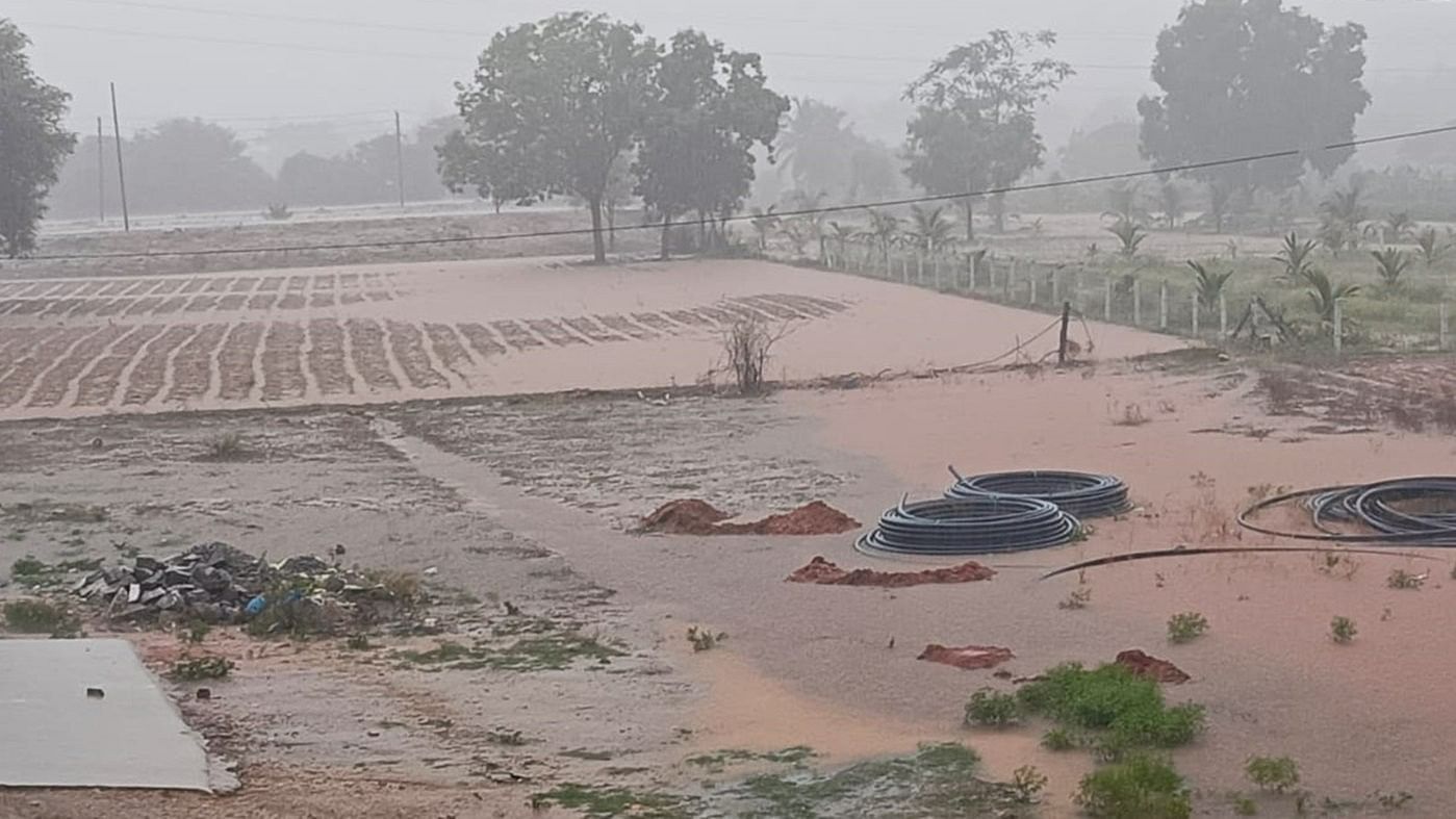 A farmland is flooded following heavy rain in Beguru of Chamarajanagar district on Friday.