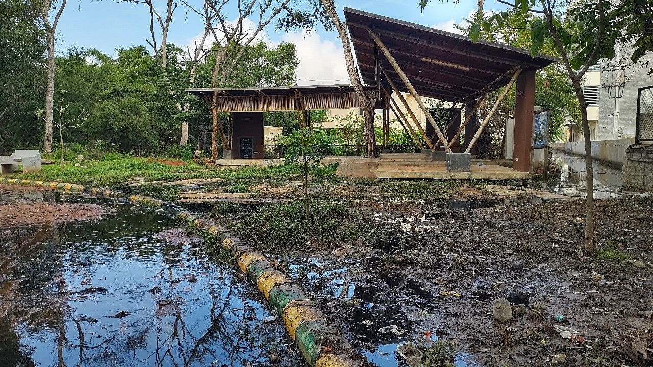 <div class="paragraphs"><p>A view of the gazebo at Puttenahalli Lake Bird Conservation Reserve that has been flooded with sewage.</p></div>