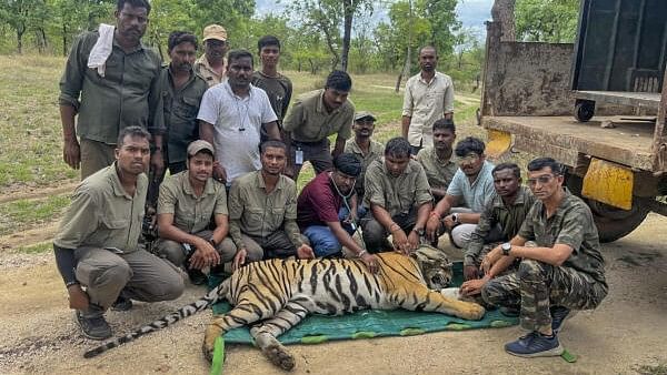 <div class="paragraphs"><p>Maharashtra forest department staff with tiger rescue teams after the rescue of a tiger in Tadoba Andhari Tiger Reserve.</p></div>