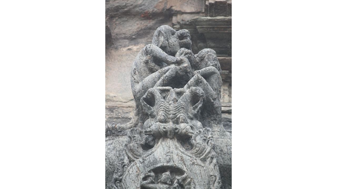 <div class="paragraphs"><p>A group of monkeys carved on the 'vimana' of the Amruteshwara temple.</p></div>