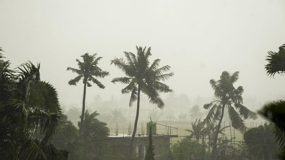 <div class="paragraphs"><p>Rain ahead of the landfall of Cyclone 'Remal', in South 24 Parganas district, Sunday, May 26, 2024. The cyclonic storm is expected to make landfall between West Bengal's Sagar Island and Bangladesh's Khepupara on Sunday night, as per IMD.</p></div>