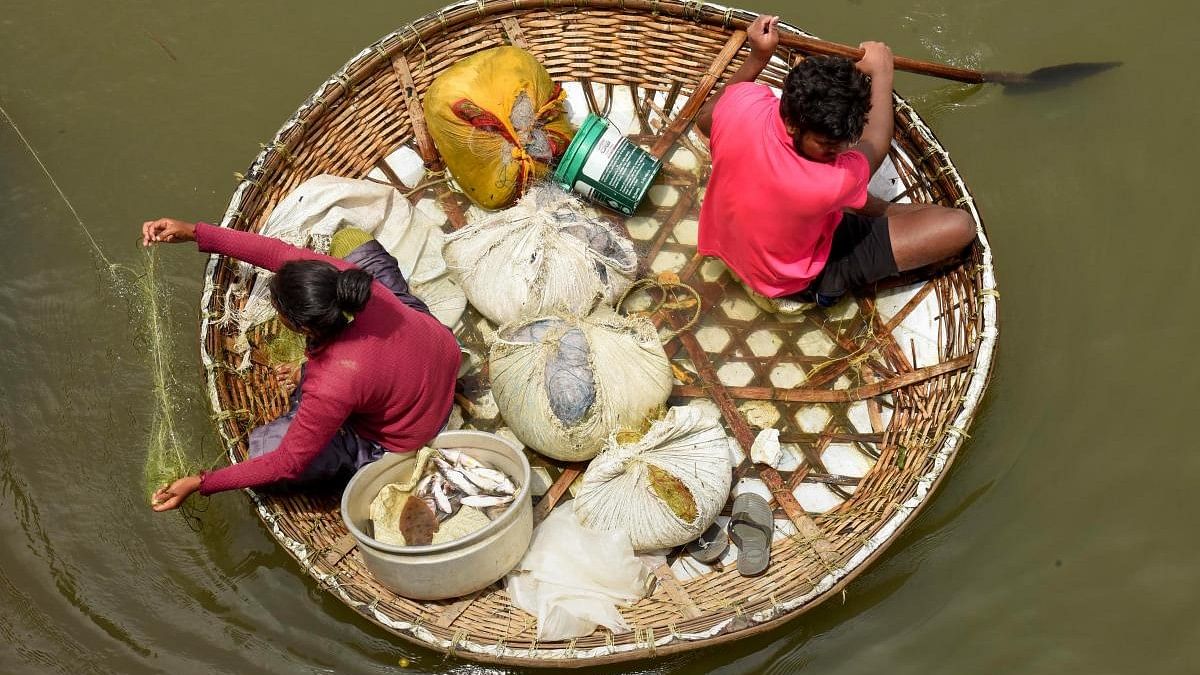 <div class="paragraphs"><p>Fishermen on a coracle, a round bamboo raft, look for a catch in the backwaters of Kochi.</p></div>