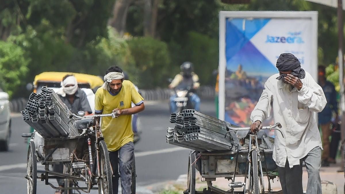 <div class="paragraphs"><p>Labourers transport goods by a tri-cycle cart on a hot summer day, in New Delhi.</p></div>