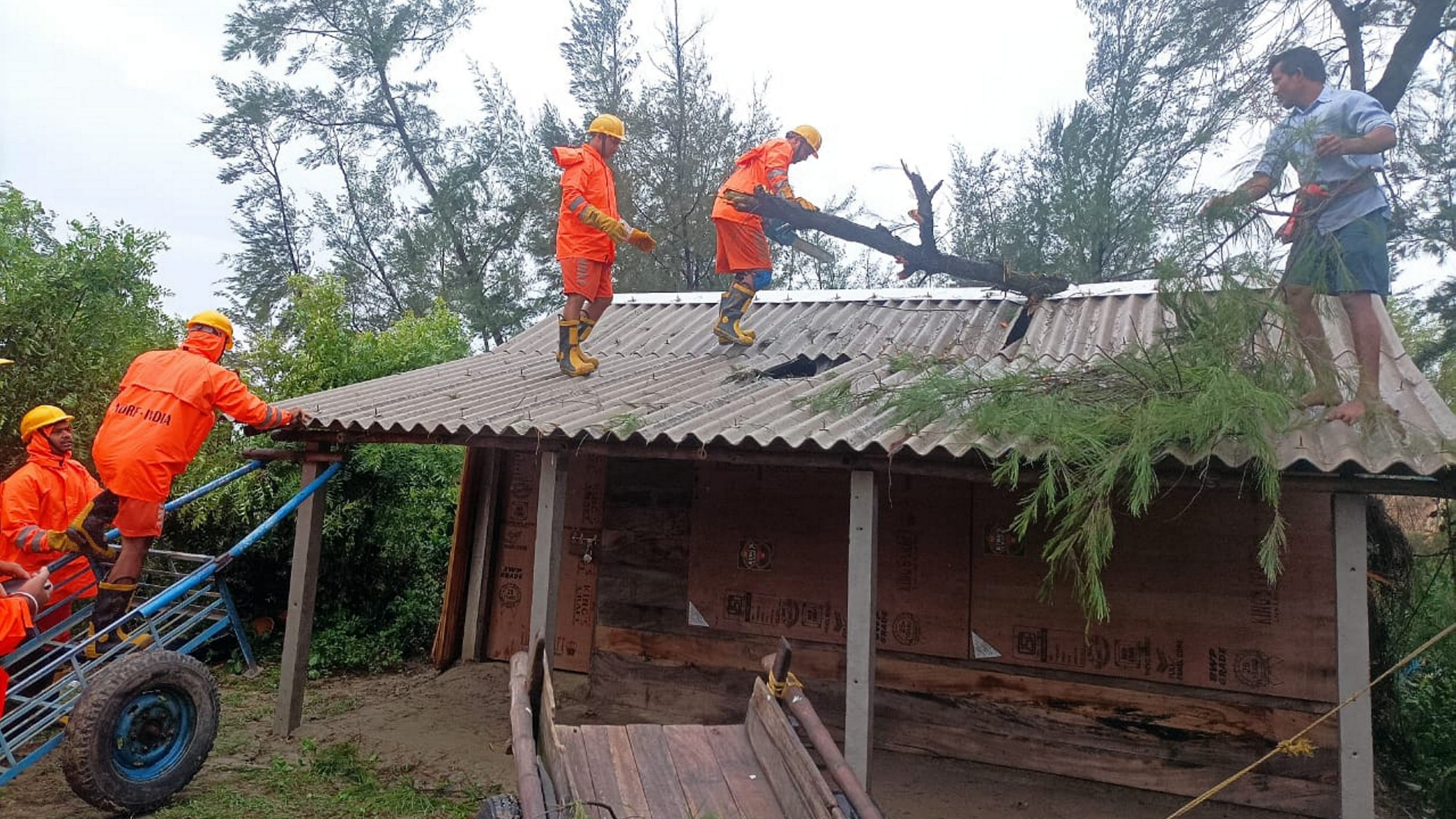 <div class="paragraphs"><p>NDRF personnel remove an uprooted tree from the roof of a house after the landfall of Cyclone 'Remal', in South 24 Parganas, West Bengal.</p></div>