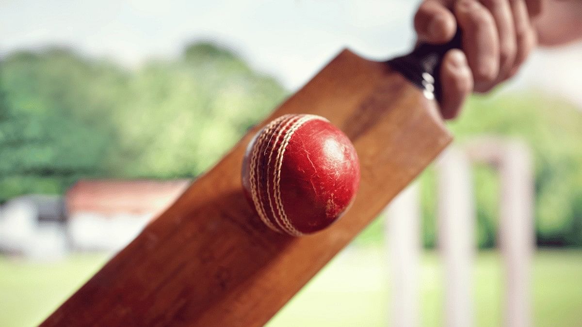 <div class="paragraphs"><p>Representative image showing a cricket bat and ball</p></div>