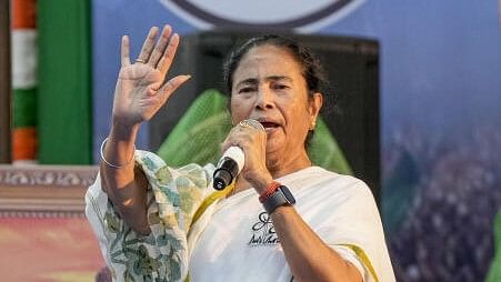 <div class="paragraphs"><p>West Bengal Chief Minister Mamata Banerjee addresses a poll rally.&nbsp;</p></div>