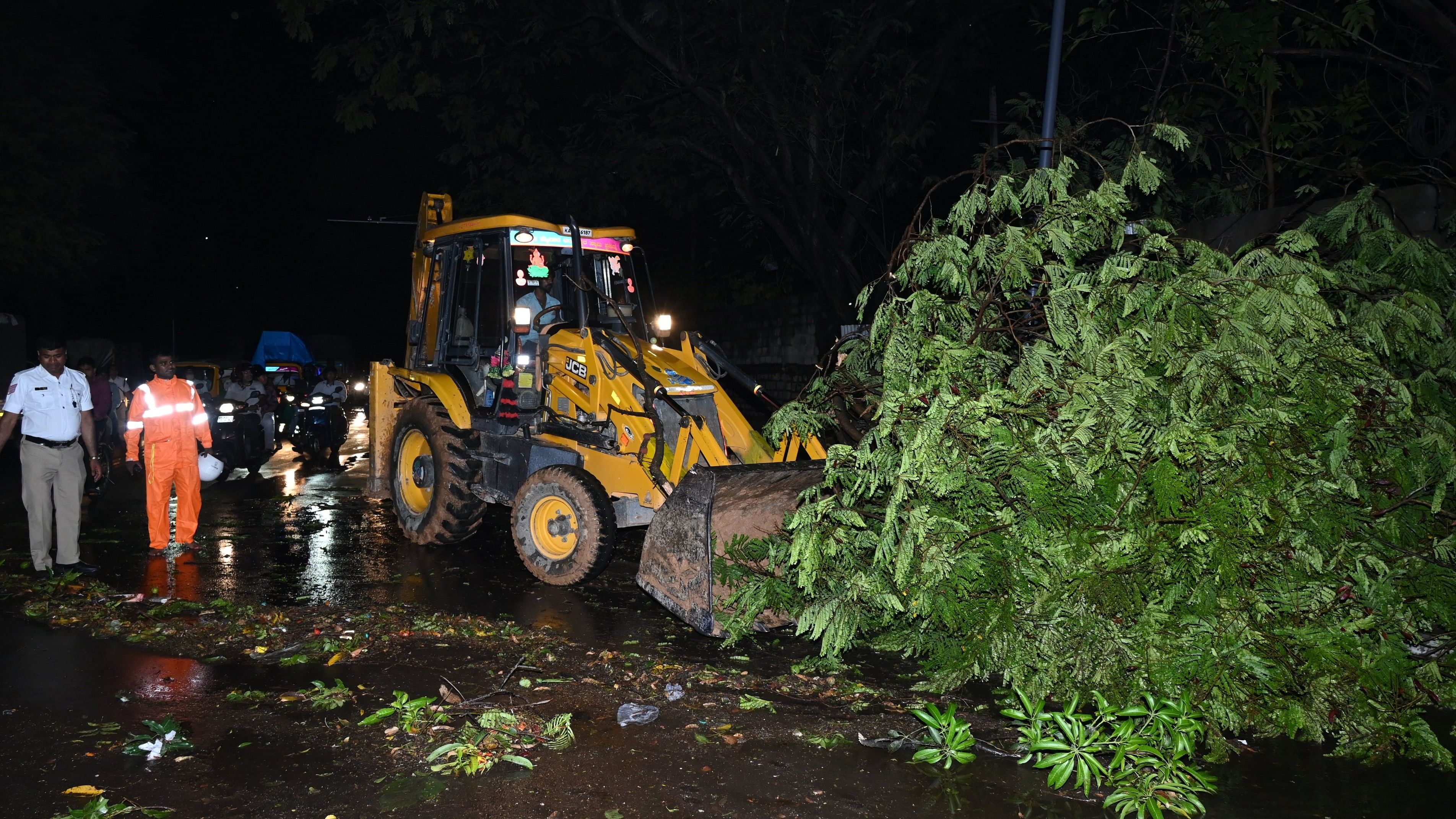 <div class="paragraphs"><p>This week's rain saw traffic cops clearing tree stumps in the city. </p></div>