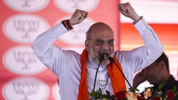 <div class="paragraphs"><p>Union Home Minister Amit Shah addresses a public meeting for Lok Sabha elections, in Raebareli, Sunday, May 12, 2024.</p></div>