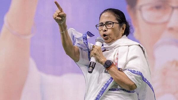 <div class="paragraphs"><p>West Bengal CM Mamata Banerjee</p></div>