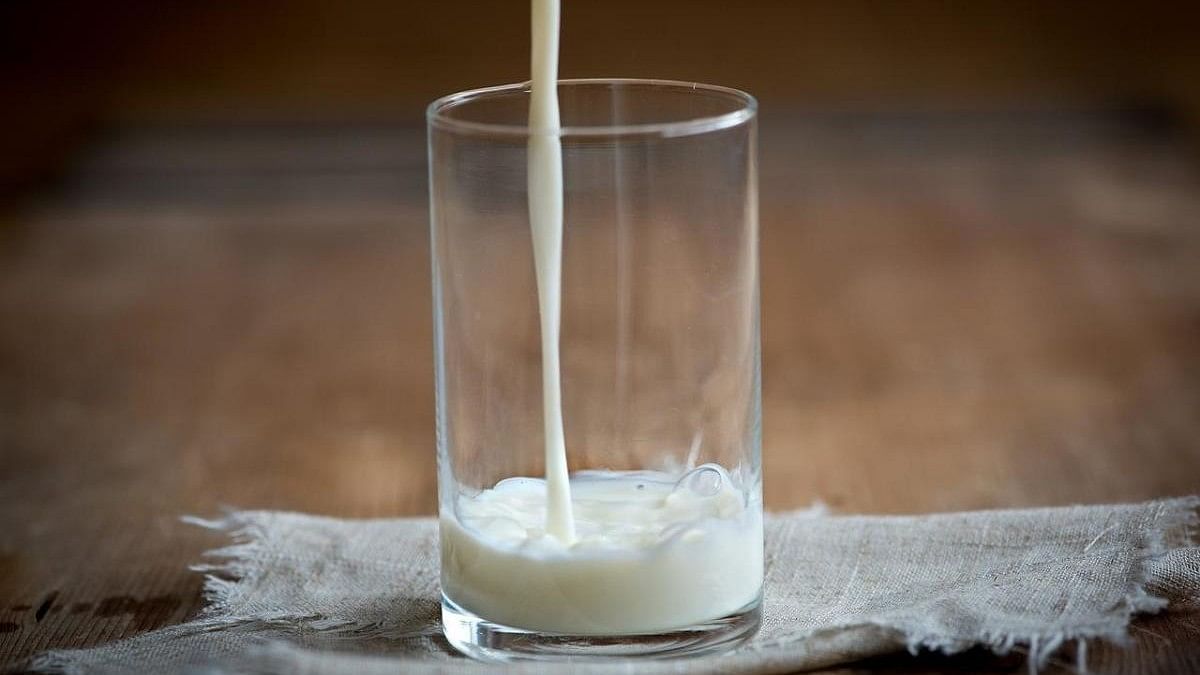 <div class="paragraphs"><p>Milk representative image. </p></div>