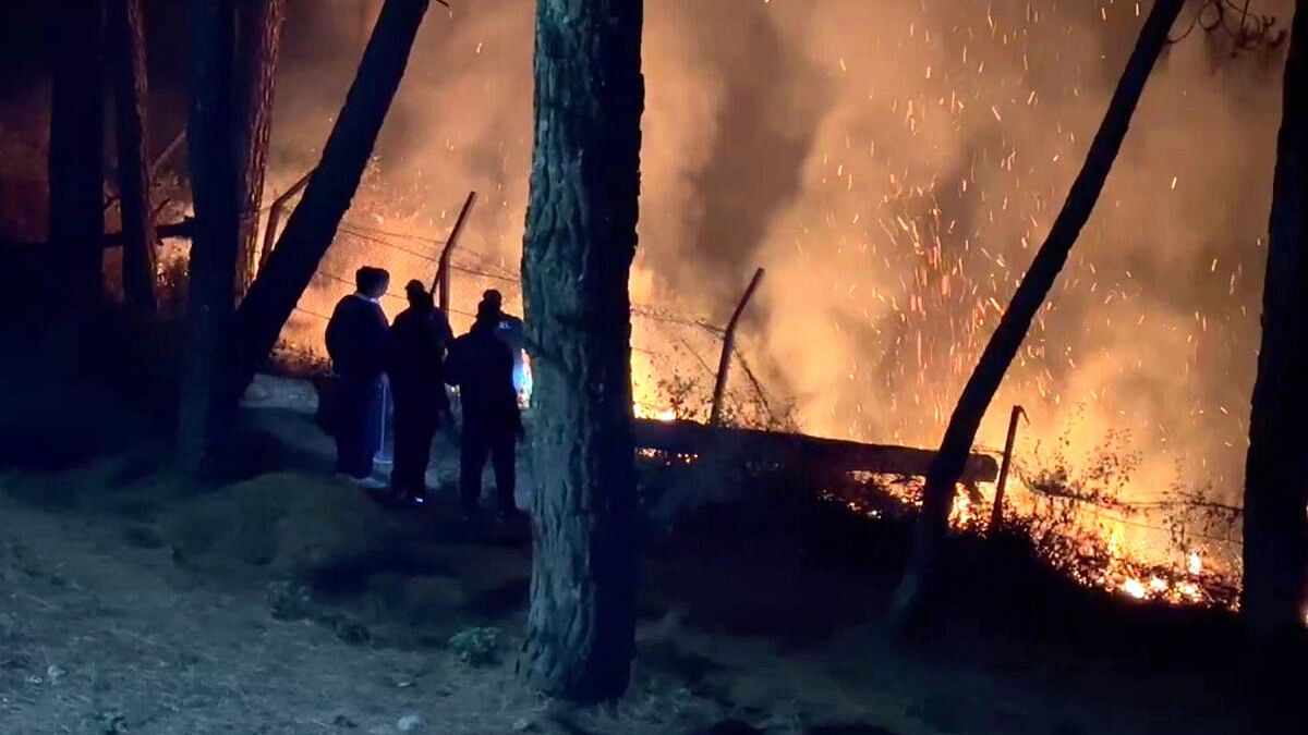 <div class="paragraphs"><p>A file photo of firefighters try to douse the flames after a fire broke out in a forest area in Uttarakhand.&nbsp;</p></div>